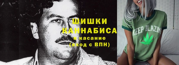 ГАЛЛЮЦИНОГЕННЫЕ ГРИБЫ Абинск