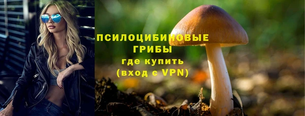 ГАЛЛЮЦИНОГЕННЫЕ ГРИБЫ Абинск