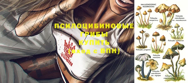 ГАЛЛЮЦИНОГЕННЫЕ ГРИБЫ Абинск