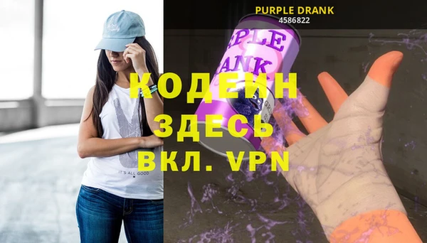 твердый Пересвет