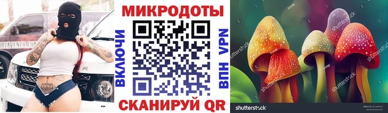 Псилоцибиновые грибы Psilocybine cubensis  Емва 